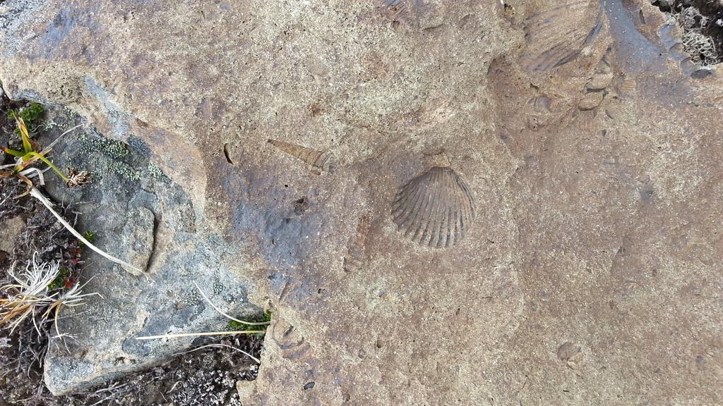 فندق Patagonia 47G Aldana المظهر الخارجي الصورة