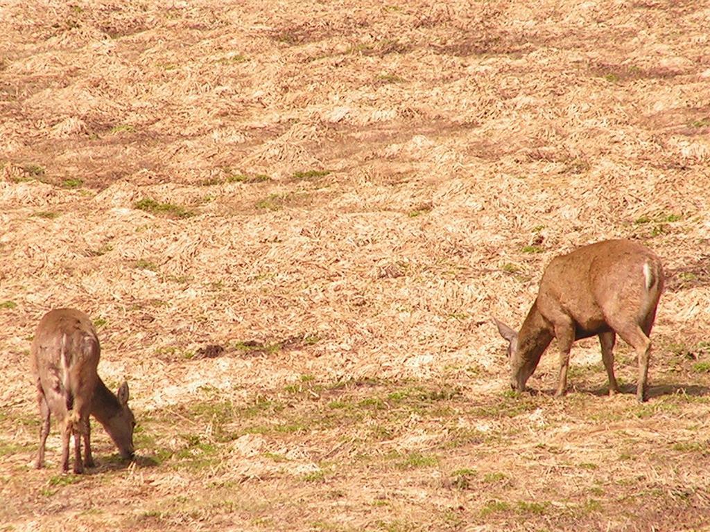 فندق Patagonia 47G Aldana المظهر الخارجي الصورة