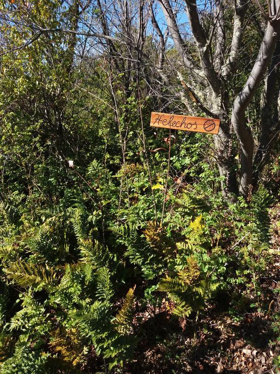 فندق Patagonia 47G Aldana المظهر الخارجي الصورة
